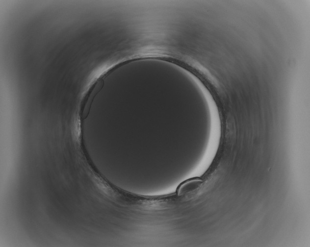 X0000111441461200908101005