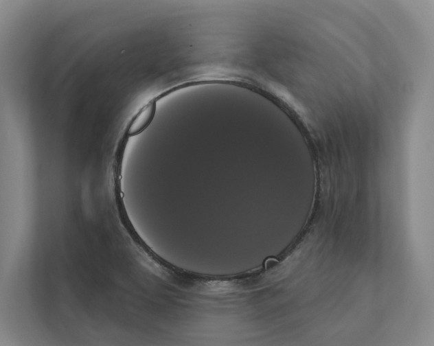 X0000111441463200908101005