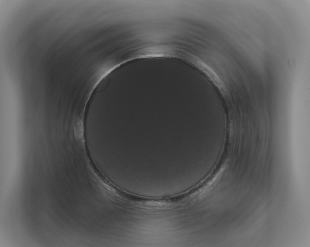 X0000111441465200908101005