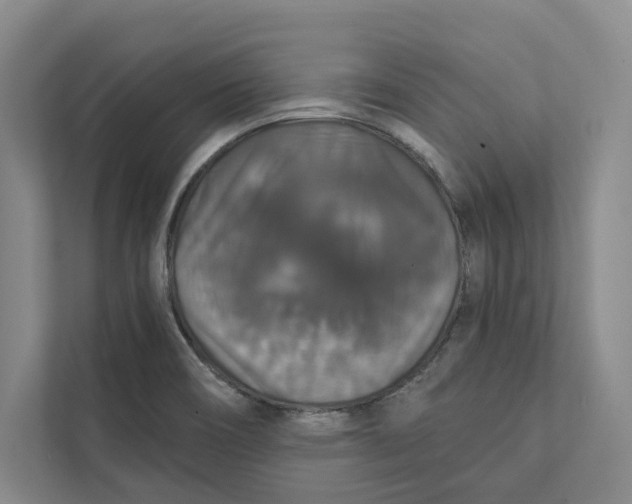 X0000111441466200908101005