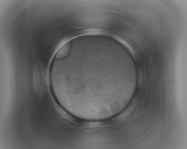 X0000111441467200908101005