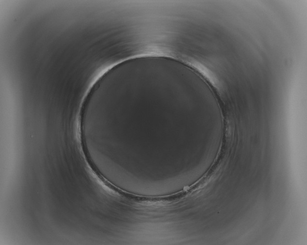 X0000111441468200908101005