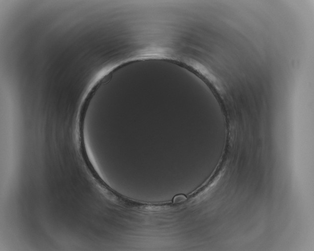 X0000111441469200908101005