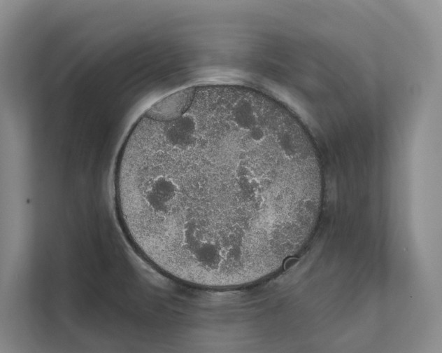 X0000111441471200908101005