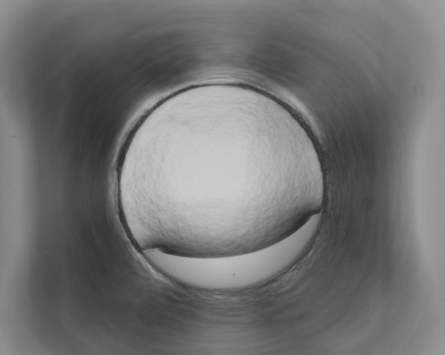 X0000111441472200908101005