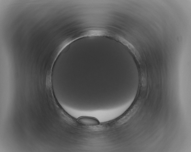 X0000111441473200908101005