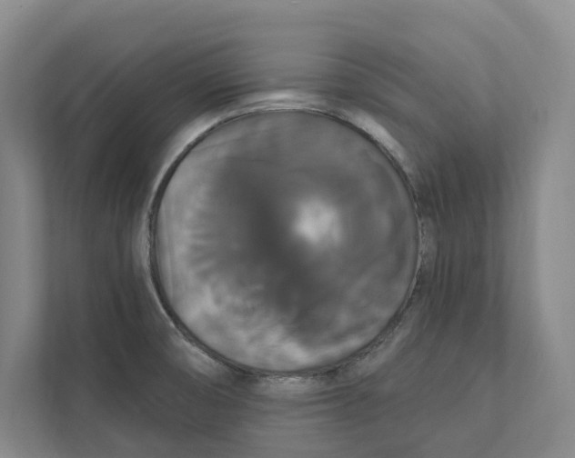 X0000111441474200908101005