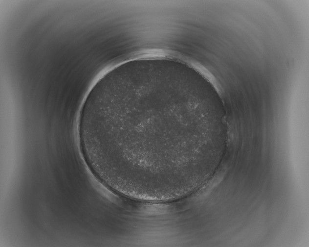 X0000111441475200908101005