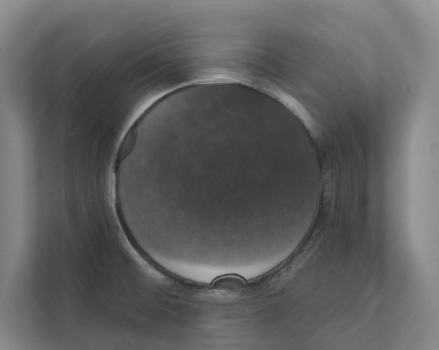 X0000111441476200908101005