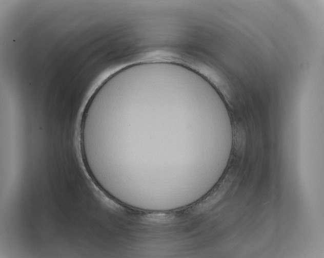 X0000111441478200908101005