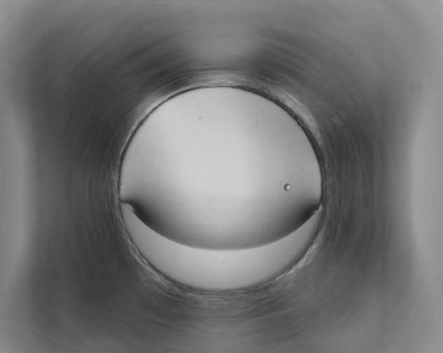 X0000111441481200908101005