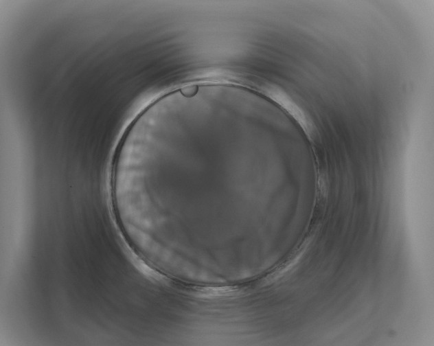 X0000111441482200908101005