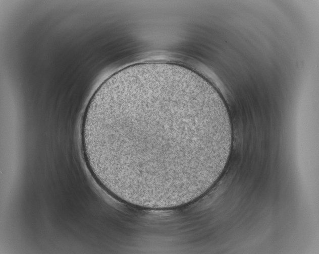 X0000111441483200908101004