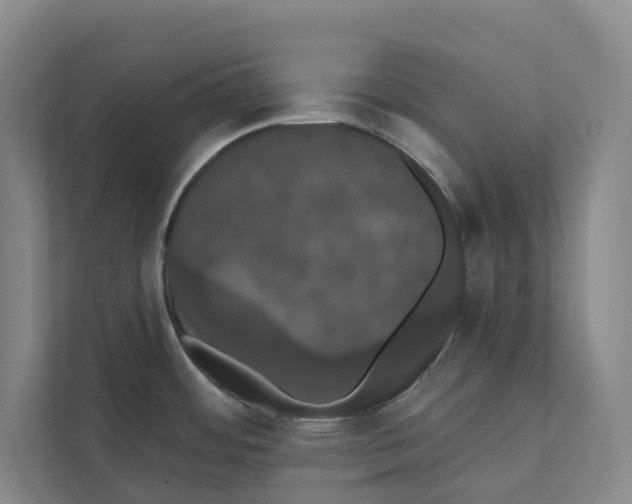 X0000111441484200908101004