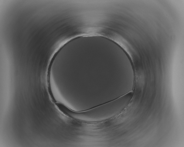 X0000111441485200908101004