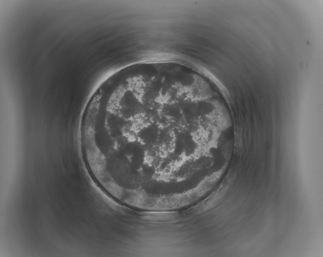 X0000111441487200908101004