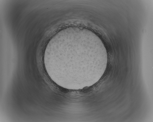 X0000111441489200908101004