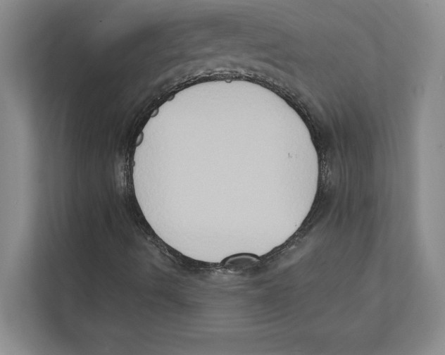 X0000111441490200908101004