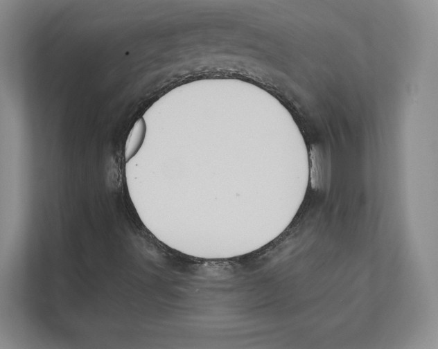 X0000111441491200908101004