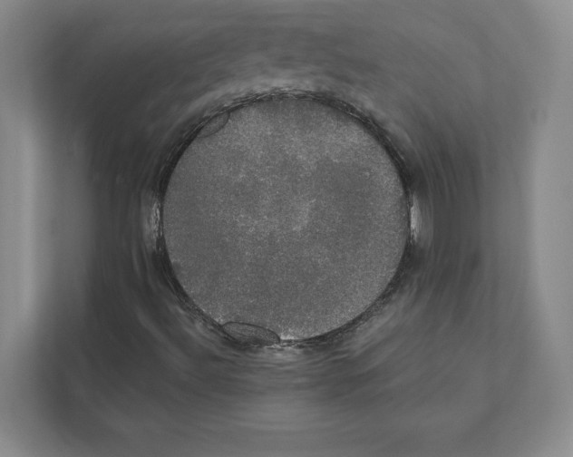 X0000111441492200908101004