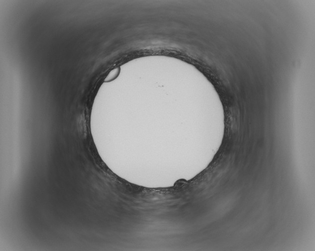 X0000111441493200908101004