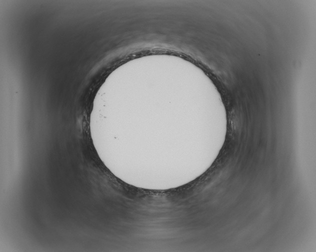 X0000111441495200908101004