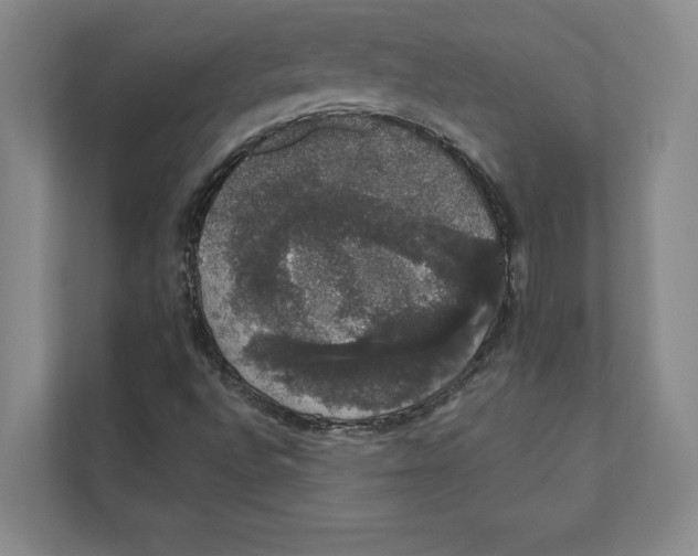 X0000111441496200908101004