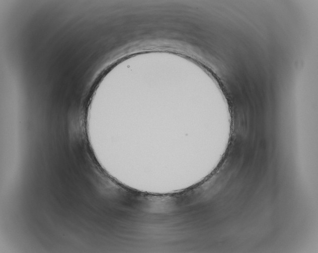 X0000111441498200908101004