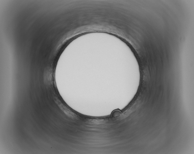 X0000111441499200908101004