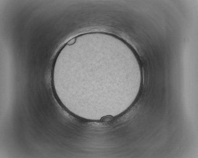 X0000111441500200908101004