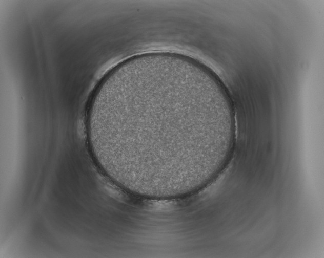 X0000111441501200908101004