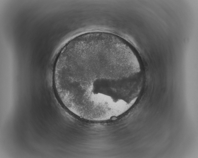 X0000111441504200908101004