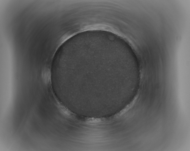 X0000111441505200908101004