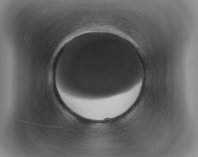 X0000111441506200908101004