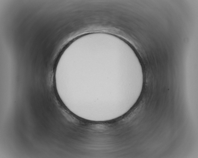 X0000111441507200908101004