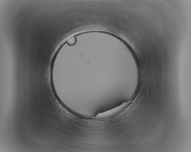 X0000111441508200908101004