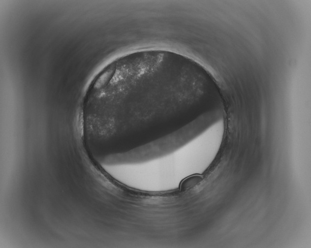 X0000111441510200908101004