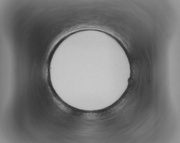 X0000111441511200908101004