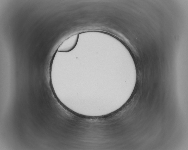 X0000111441512200908101004