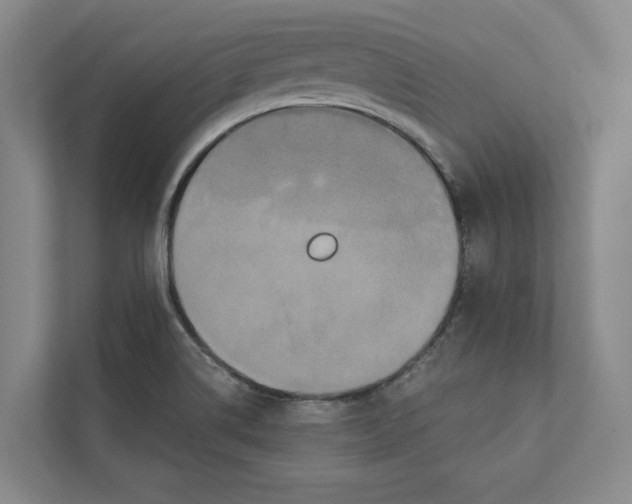 X0000111441514200908101004