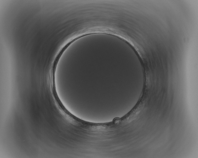 X0000111441515200908101004