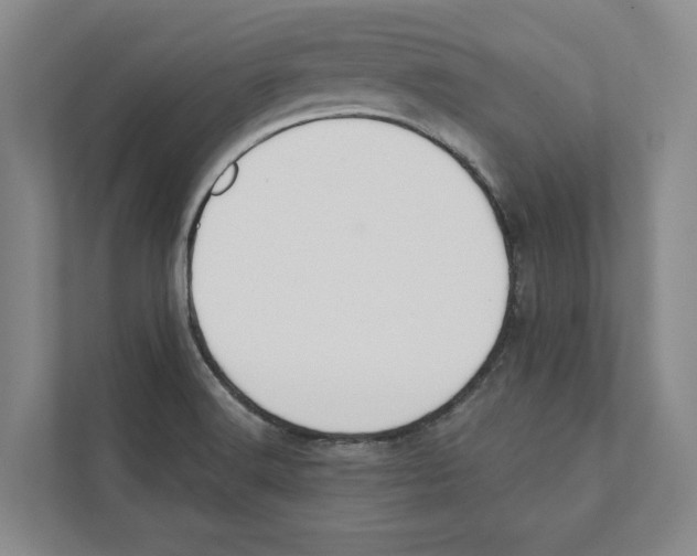 X0000111441516200908101004