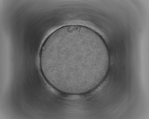 X0000111441517200908101004