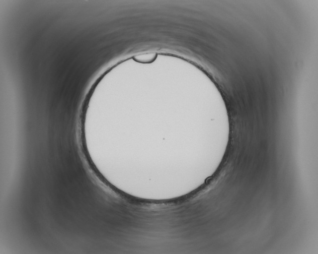 X0000111441518200908101004