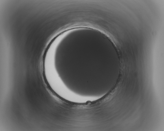 X0000111441519200908101004