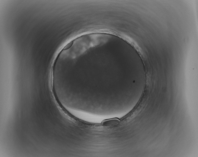 X0000111441520200908101004