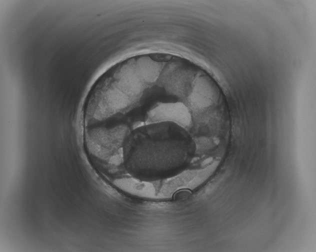 X0000111441522200908101004