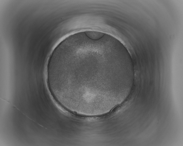 X0000111441523200908101004