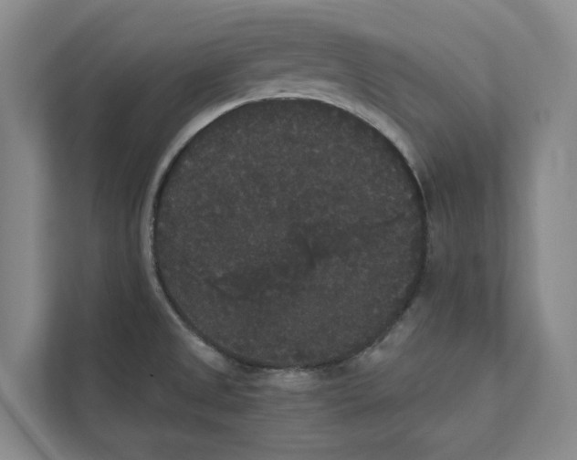 X0000111441525200908101004