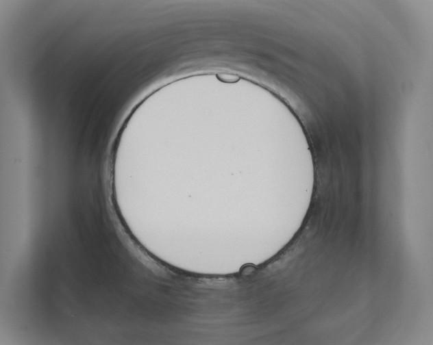 X0000111441526200908101004